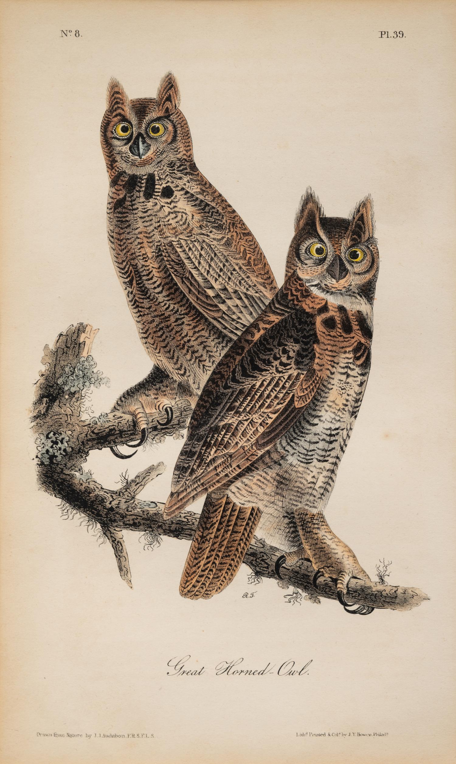 AUDUBON, John James (1785-1852) et al, after A group of 10 octavo-format prints, comprising: