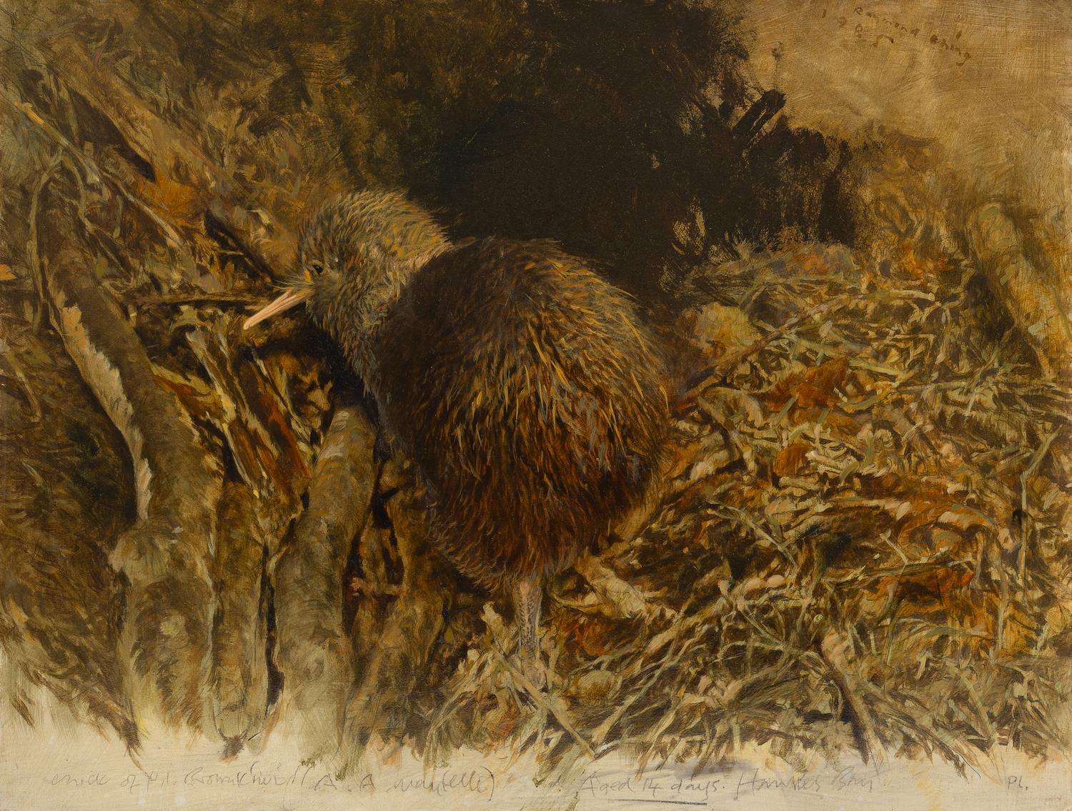 Raymond Harris Ching (New Zealand, b. 1939) — Kiwi Chick, 1985