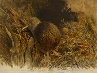 Raymond Harris Ching (New Zealand, b. 1939) — Kiwi Chick, 1985