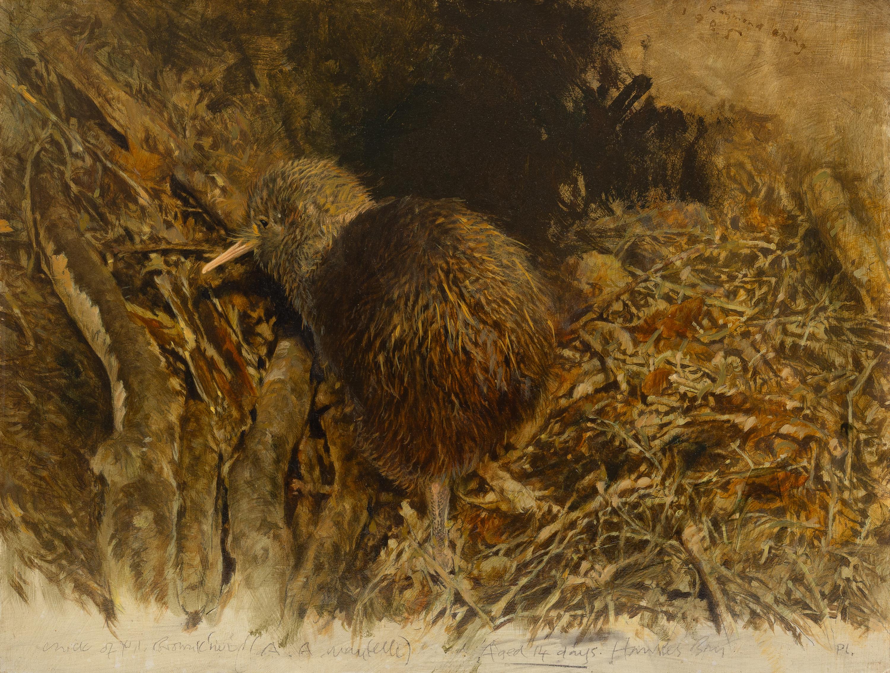 Raymond Harris Ching (New Zealand, b. 1939) — Kiwi Chick, 1985