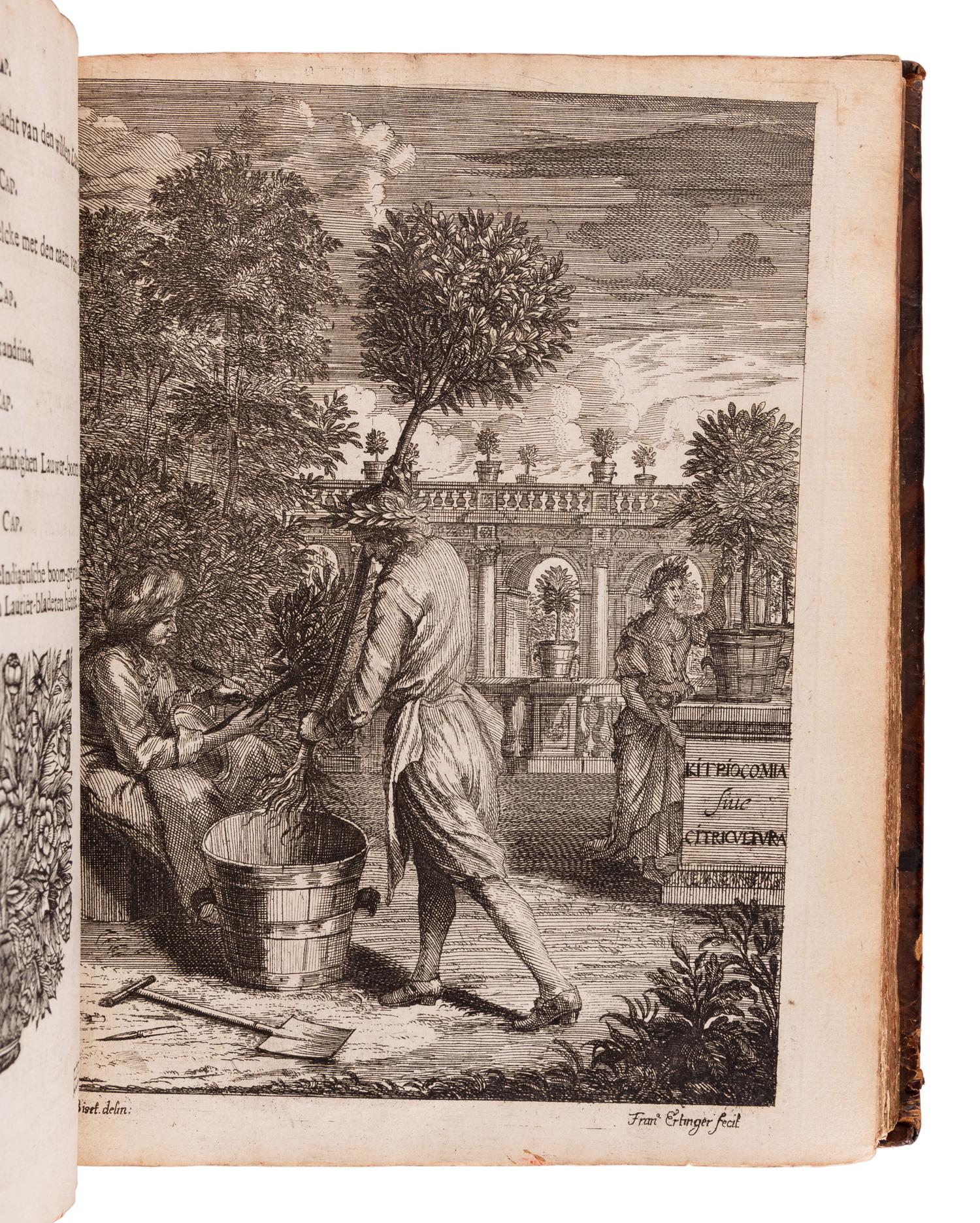 STERBEECK, Johannes Franciscus van (1630-1693. Citricultura oft regeringhe der uy-themsche boomen te weten Oranien, Citroenen, Limoenen, Granaten, Laurie-ren en andere . Antwerp: Joseph Jacops, 1682.
