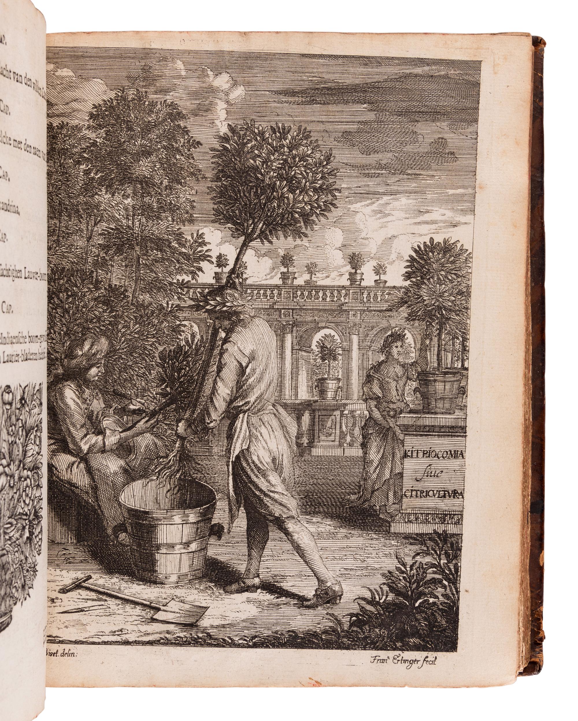 STERBEECK, Johannes Franciscus van (1630-1693. Citricultura oft regeringhe der uy-themsche boomen te weten Oranien, Citroenen, Limoenen, Granaten, Laurie-ren en andere . Antwerp: Joseph Jacops, 1682.