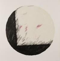 Circle Invaded by a Square