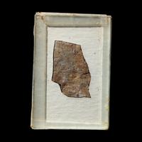 A Roman Lead Fragment with Greek Inscription