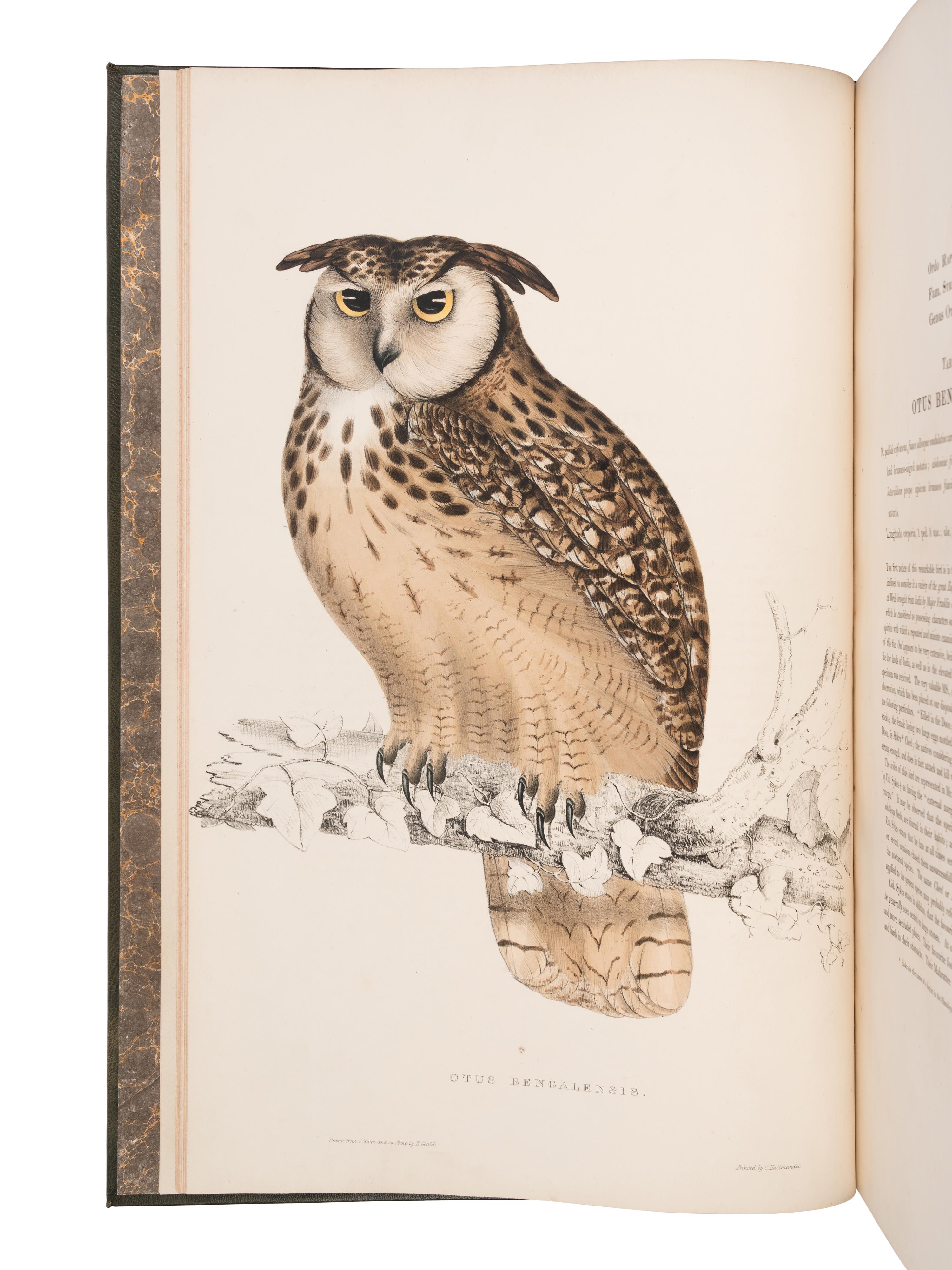 [NATURAL HISTORY]. GOULD, John (1804-1881) and Nicholas Aylward VIGORS (1787-1840). A Century of Birds from the Himalaya Mountains . London: [for the Author], 1831-[1832].