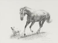 A Romp Around The Ranch