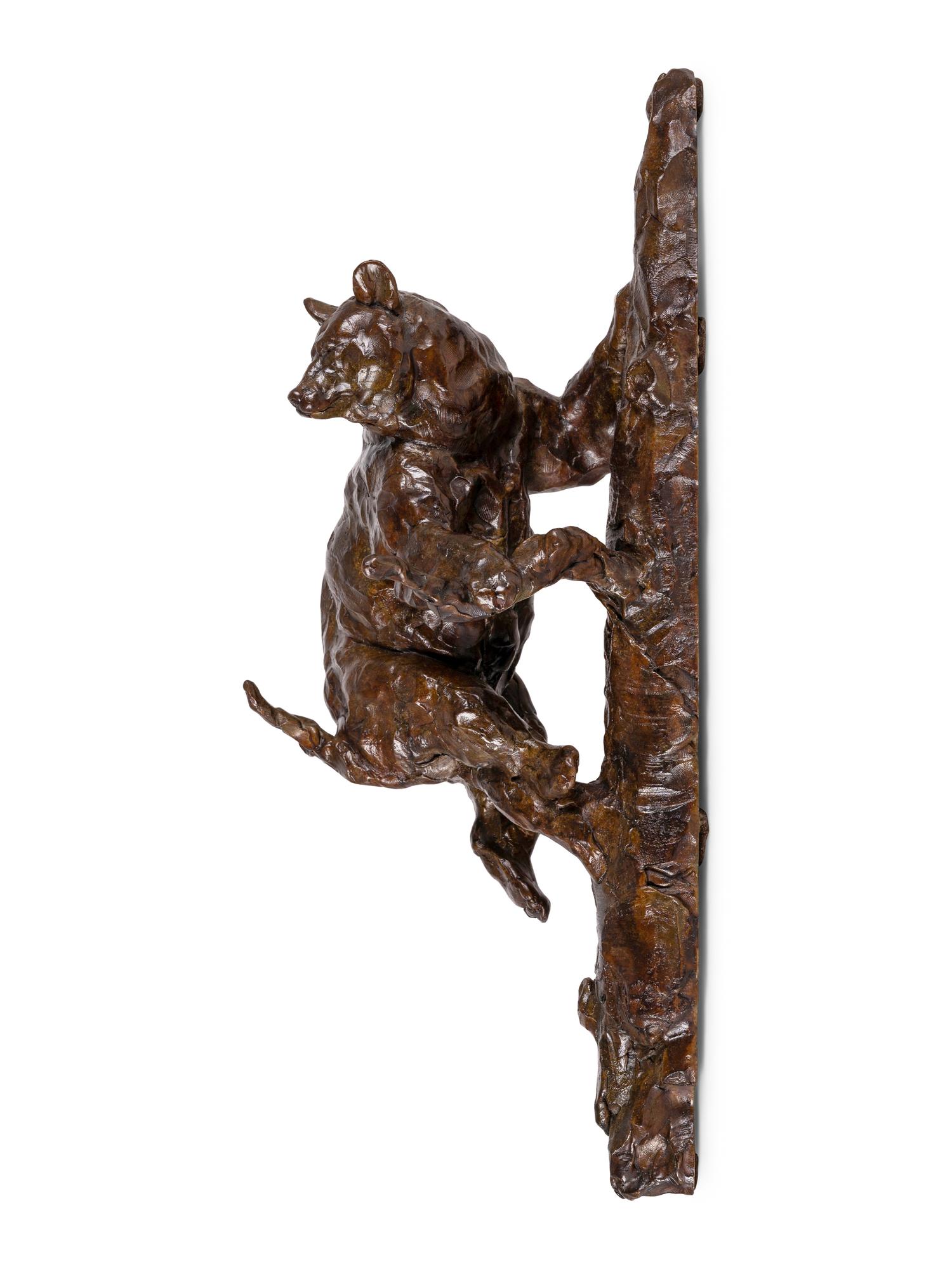 Bear Climbing , edition 28/40