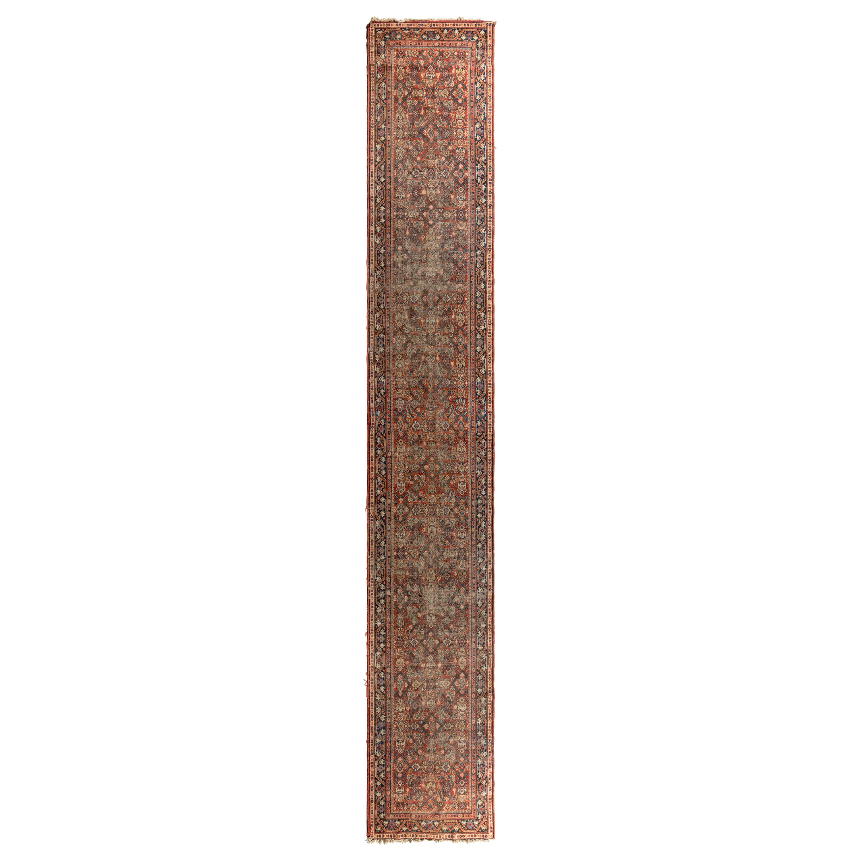 A Ziegler Mahal Runner