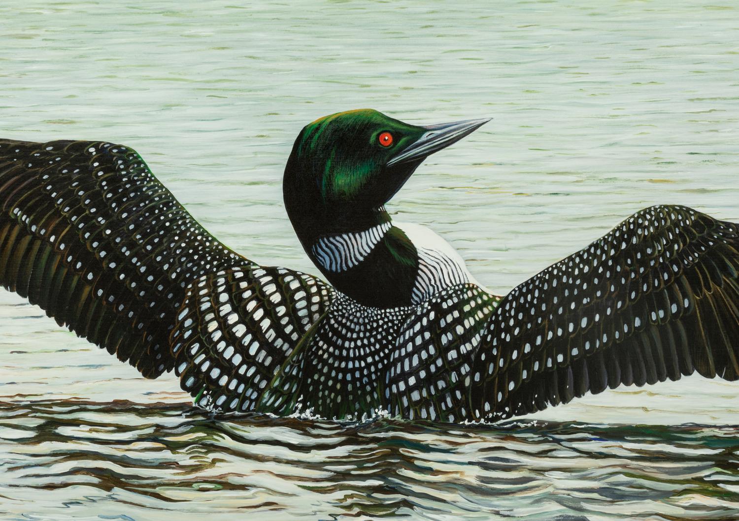 Stretching Loons , 2004
