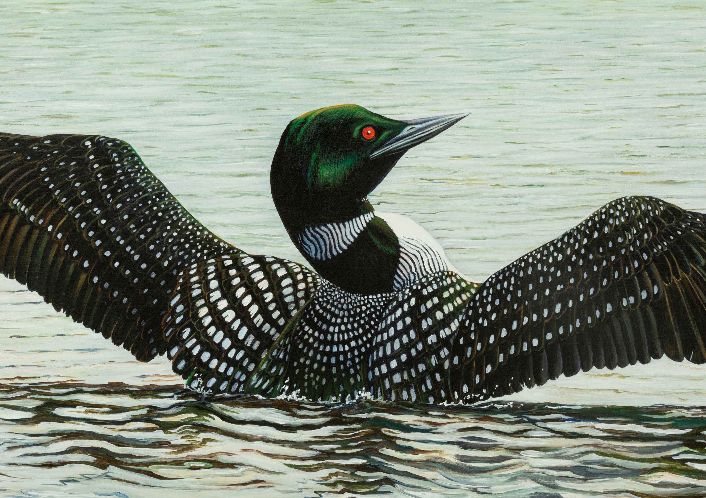 Stretching Loons , 2004