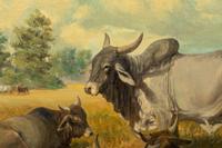 Brahma-Tippen, The Great from India