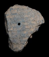 A Gandharan Grey Schist Head of Buddha