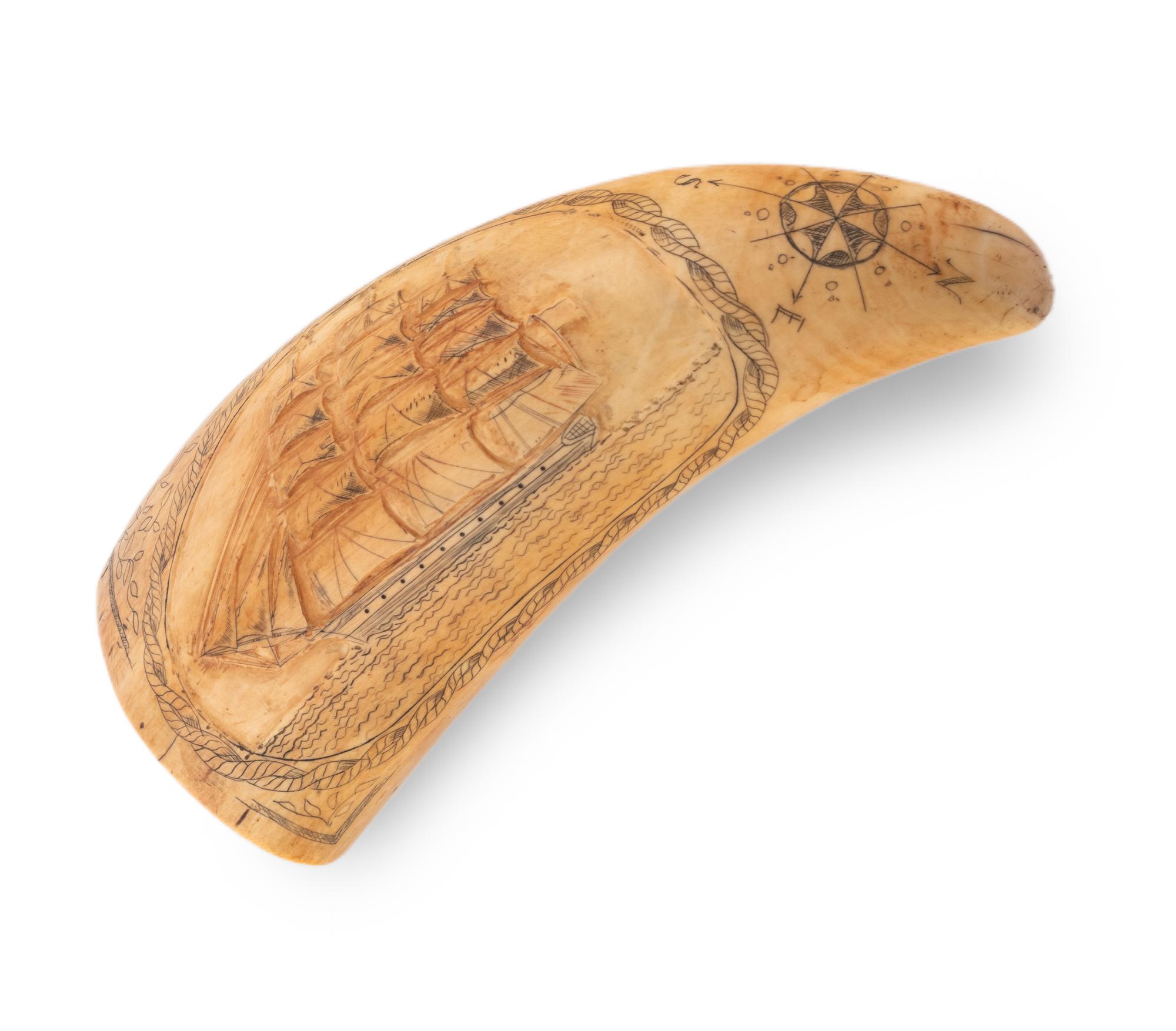 A Scrimshaw Whale's Tooth