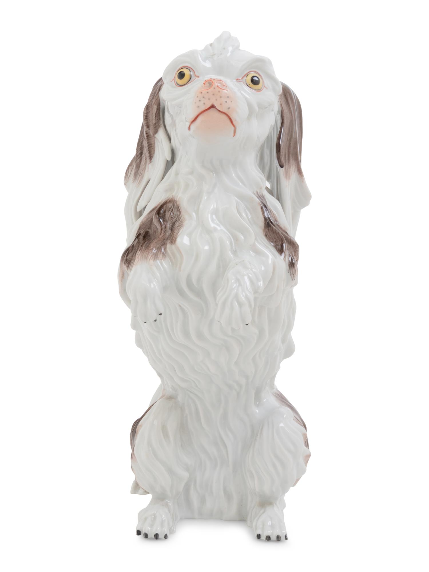 A Dresden Porcelain Bolognese Hound