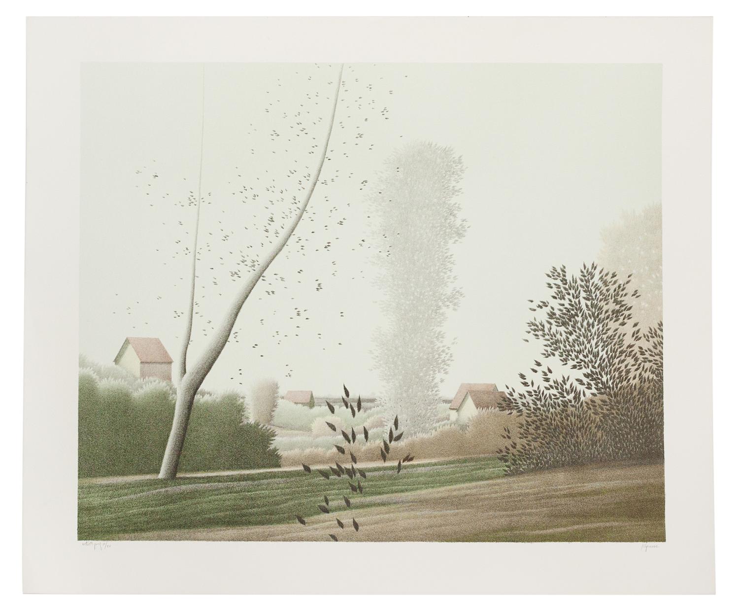 Robert Kipness