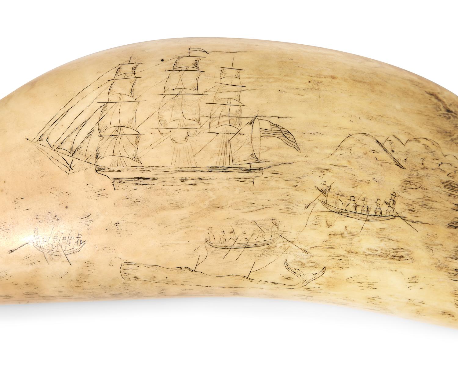 A Large Srimshaw Whale Tooth Worked On The Whaler Menkar Of New Bedford