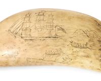 A Large Srimshaw Whale Tooth Worked On The Whaler Menkar Of New Bedford