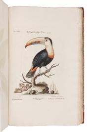 [NATURAL HISTORY]. SELIGMANN, Johann Michael (1720-1762). Verzameling van Uitlandsche en Zeldzaame Vogelen...in't Nedertuitsch vertaald... door M. Houttuyn . Amsterdam: Jan Christiaan Sepp, 1772-1781.
