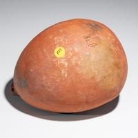 Ancestral Pueblo, Four Mile Pottery Parrot