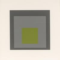 Homage to the Square (a group of nine from the portfolio of ten)