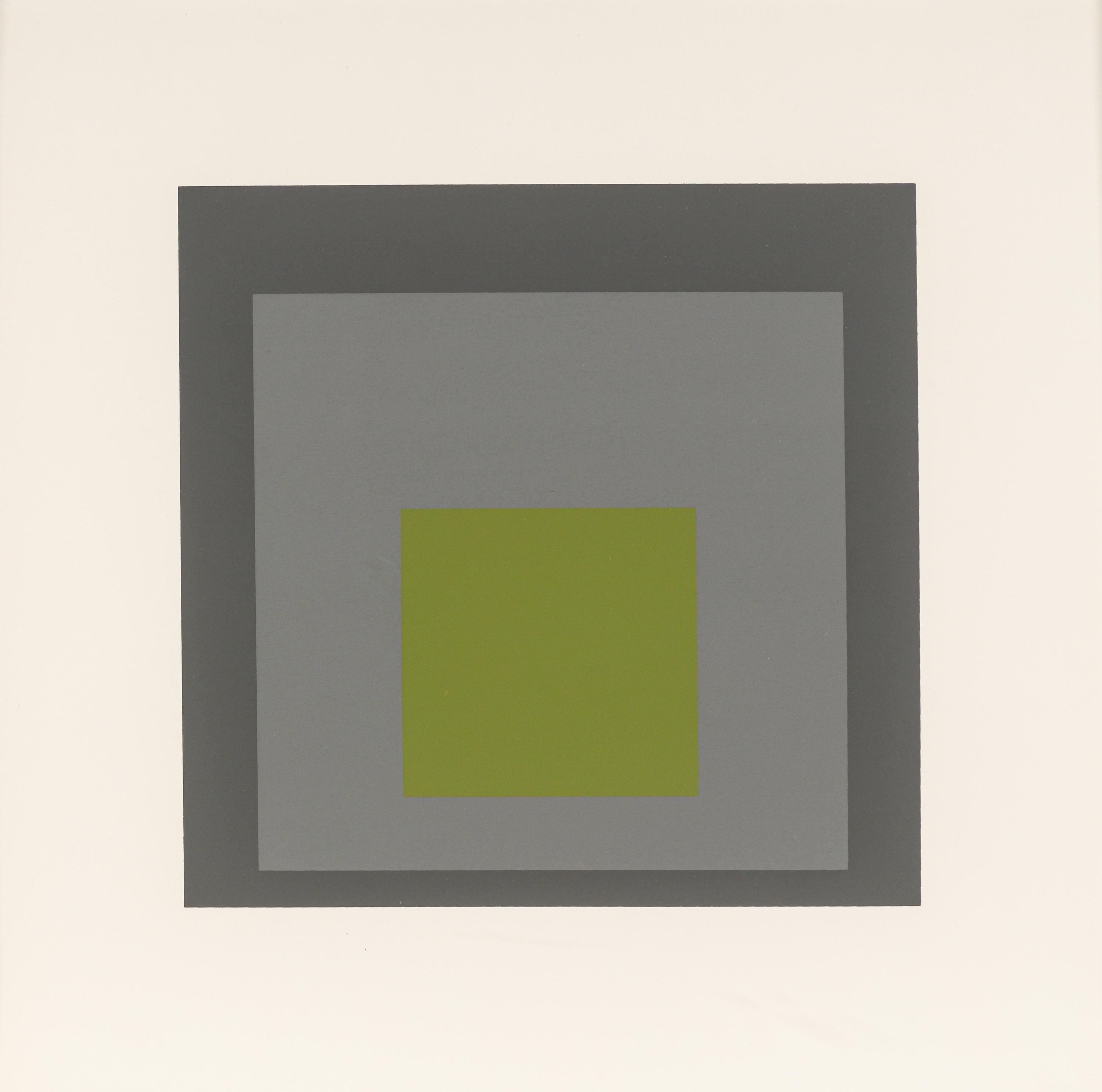 Homage to the Square (a group of nine from the portfolio of ten)