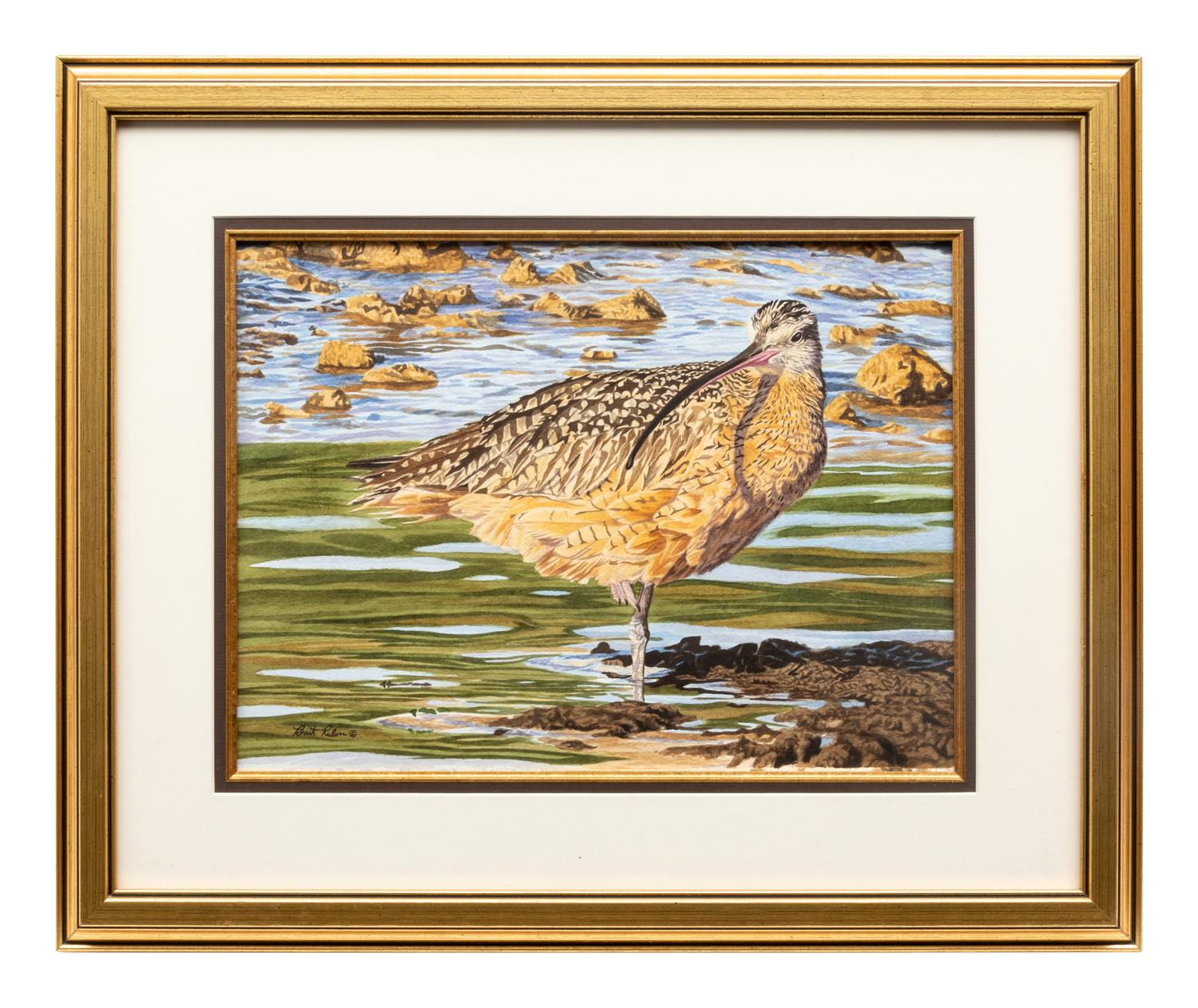 Long-Billed Curlew , 2004