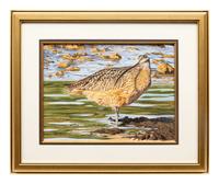 Long-Billed Curlew , 2004