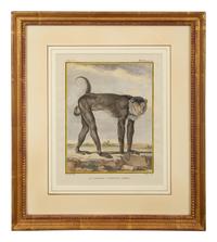 Four Framed Copper Plate Engravings from Le Comte de Buffon, Quadrupeds from Histoire Naturelle
