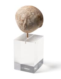 An Anatolian Marble Head