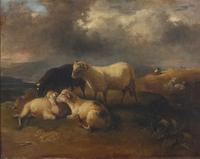 Sheep in a Meadow