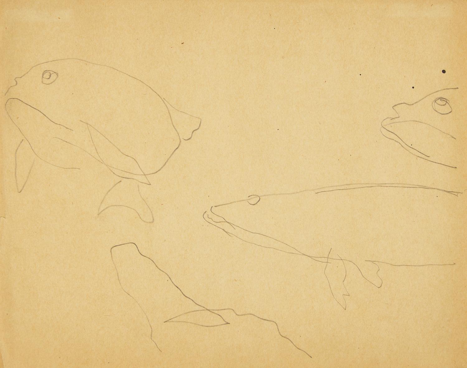Fish , 1917