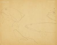 Fish , 1917