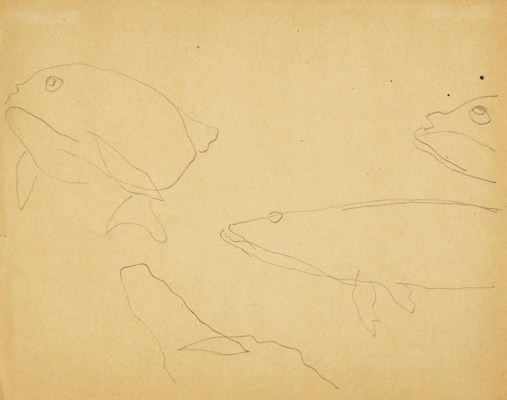 Fish , 1917