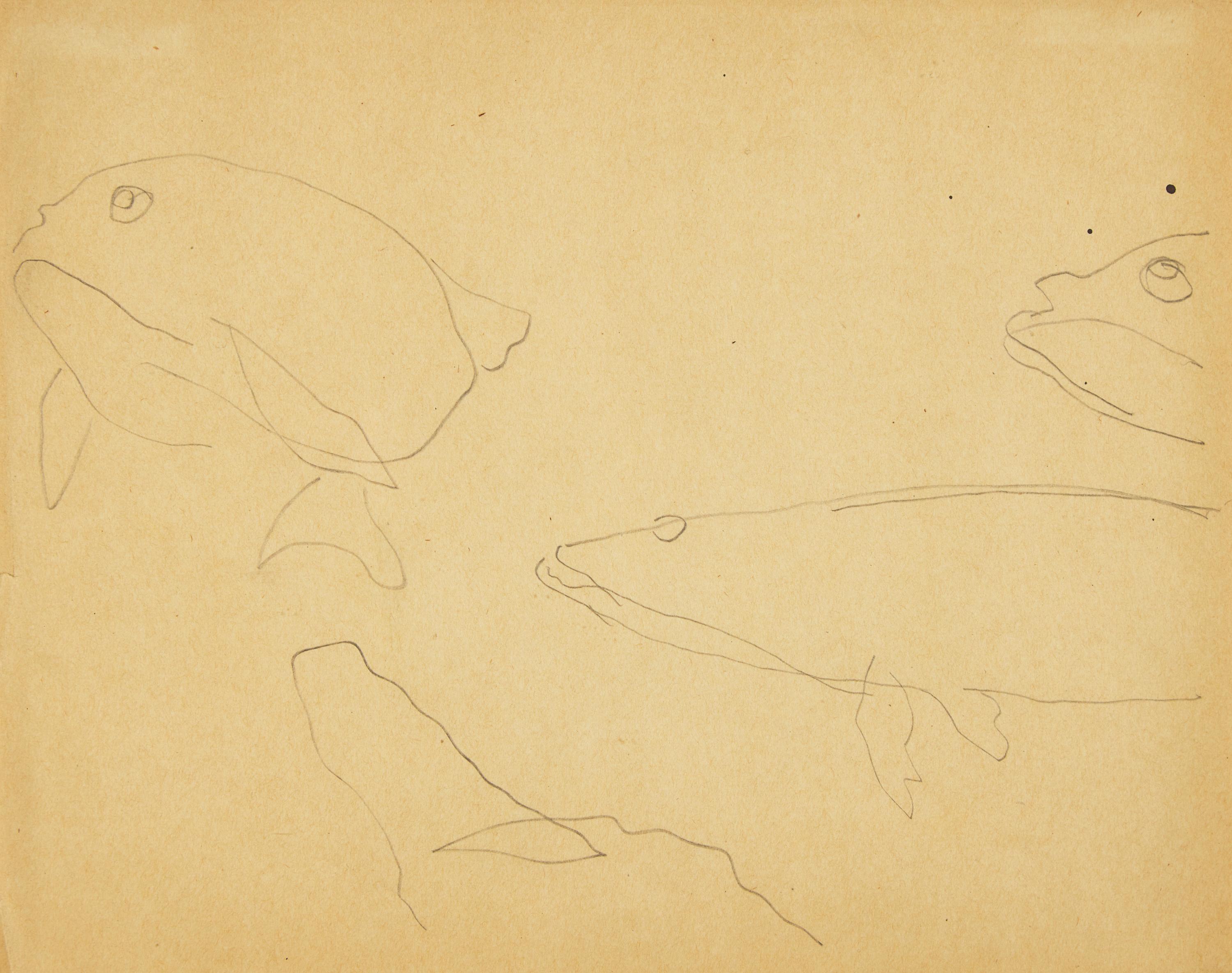 Fish , 1917