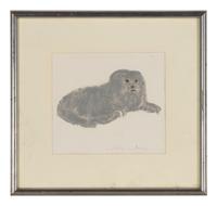 Portrait of Impy