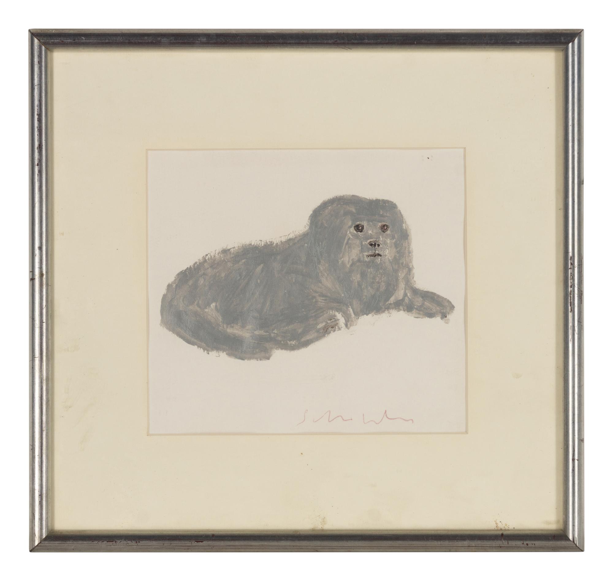 Portrait of Impy
