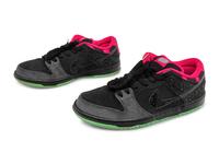 Premier X Dunk Low Premium SB AE QS Northern Lights