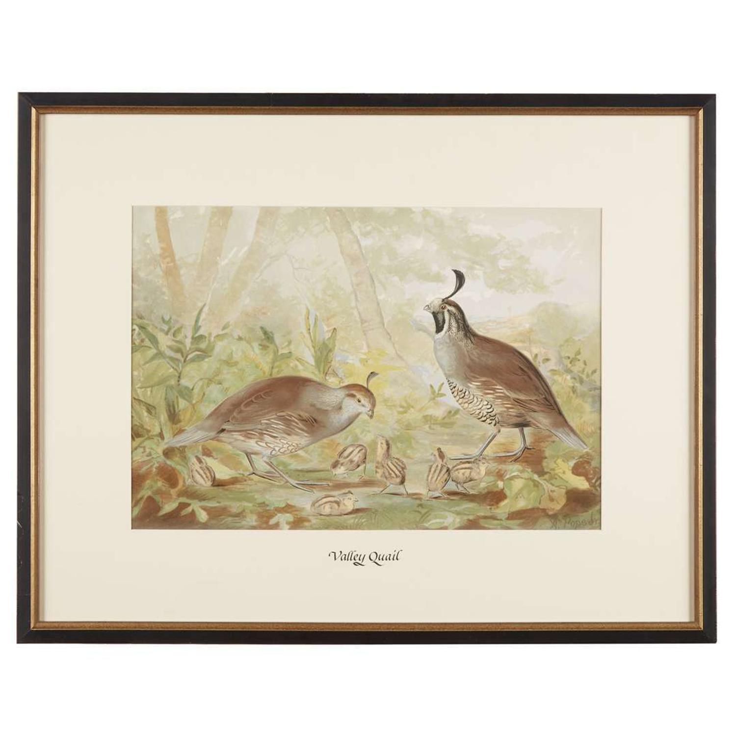 ALEXANDER POPE JUNIOR (AMERICAN 1849-1924) "BLACK DUCK" FROM UPLAND GAME BIRDS AND WATERFOWL OF THE UNITED STATES