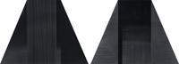 Bild 12/Fur/S,W,B # 4, 1979 (diptych)