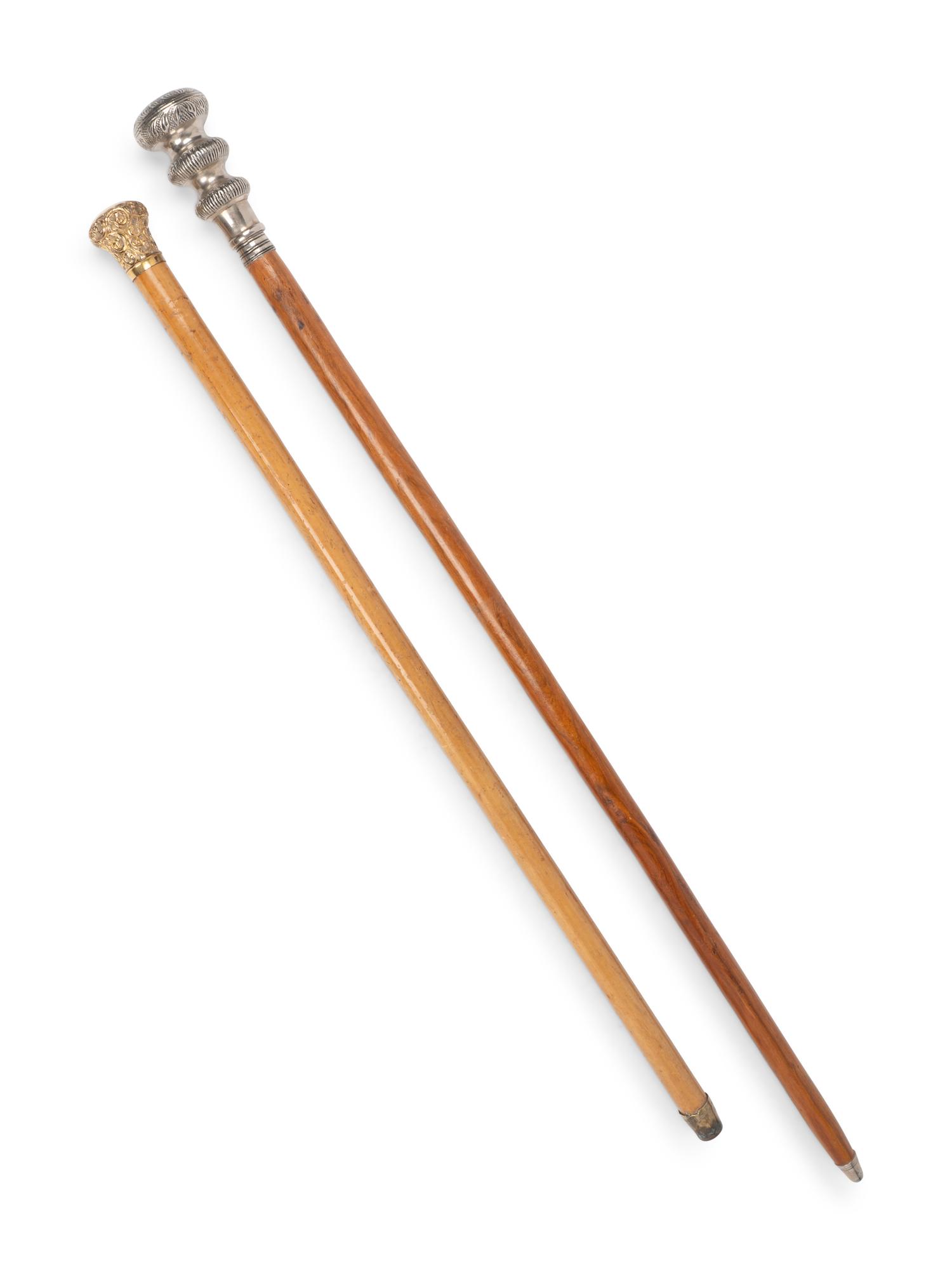 Two Metal Mounted Walking Sticks
