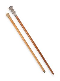 Two Metal Mounted Walking Sticks