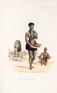 HARRIS, WILLIAM CORNWALLIS. The Wild Sports of Southern Africa. London, 1852. Fifth ed. Numerous plates.