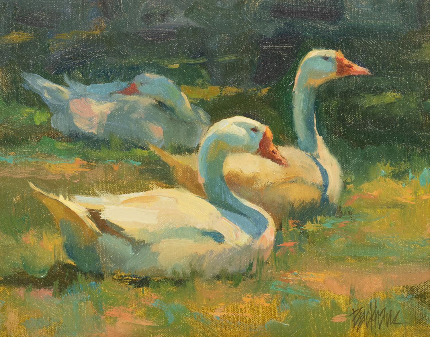 Geese, Sunbathing Along the Anglin River