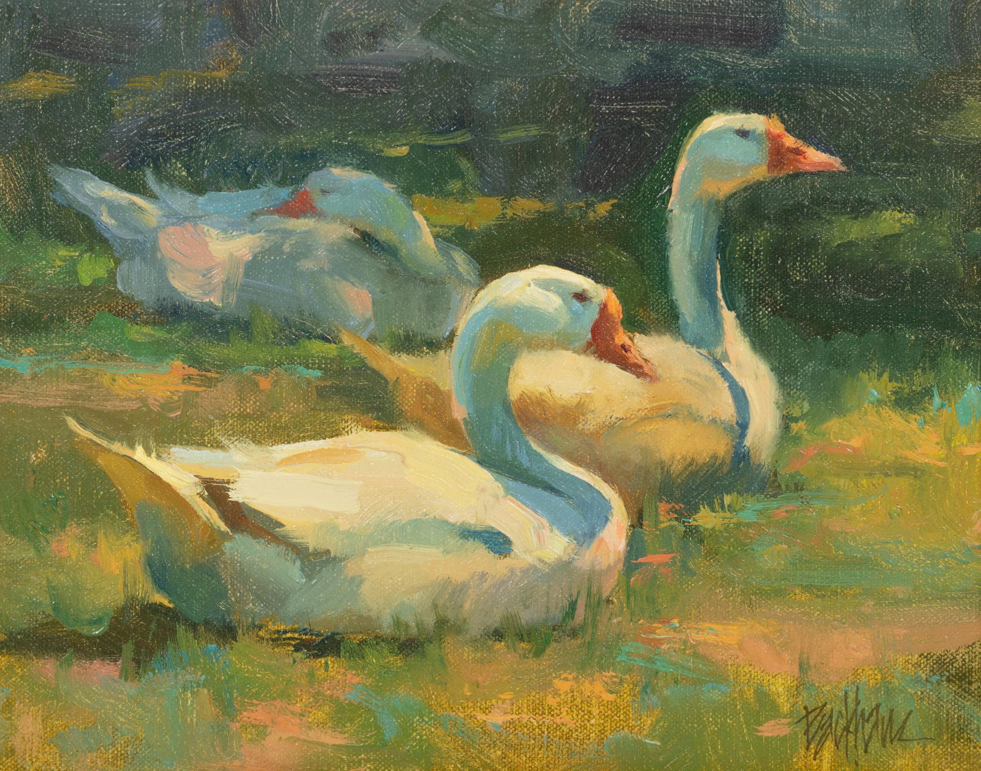 Geese, Sunbathing Along the Anglin River
