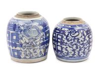 Two Chinese Blue and White Porcelain Ginger Jars