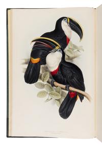 [Natural History]. Gould, John (1804-1881). A Monograph of the Ramphastidae, or Family of Toucans . London: Published by the Author, [1833-] 1834 [-1835].