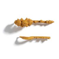 Two Etruscan Revival Gold Fibulae