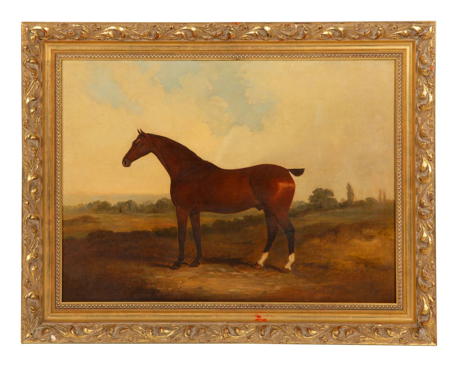 Untitled (Bay Hunter)