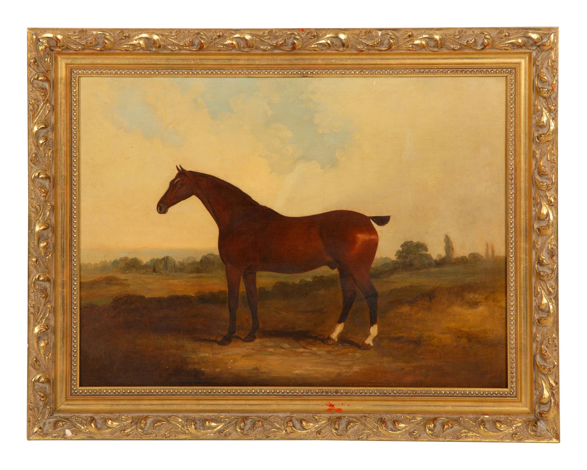 Untitled (Bay Hunter)
