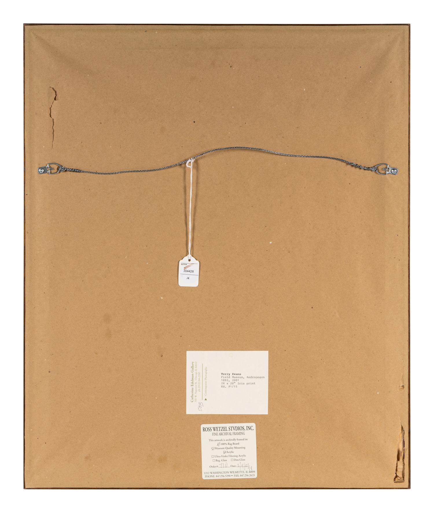 Field Museum, Andropogon, July 24, 1893 , 1999